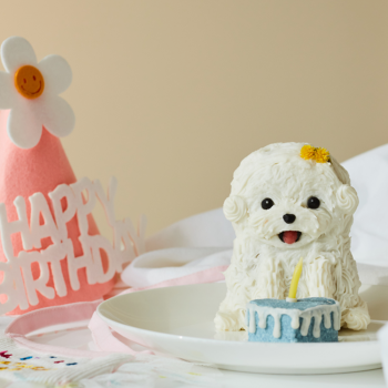 강아지 케이크(입체)